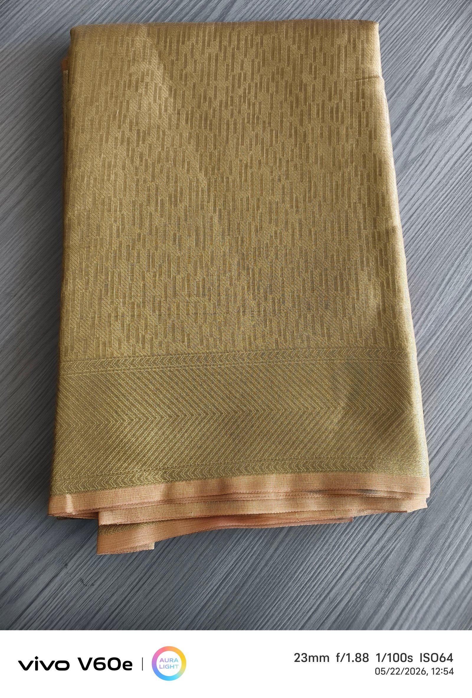 Golden Sand Elegance Tissue Silk Saree