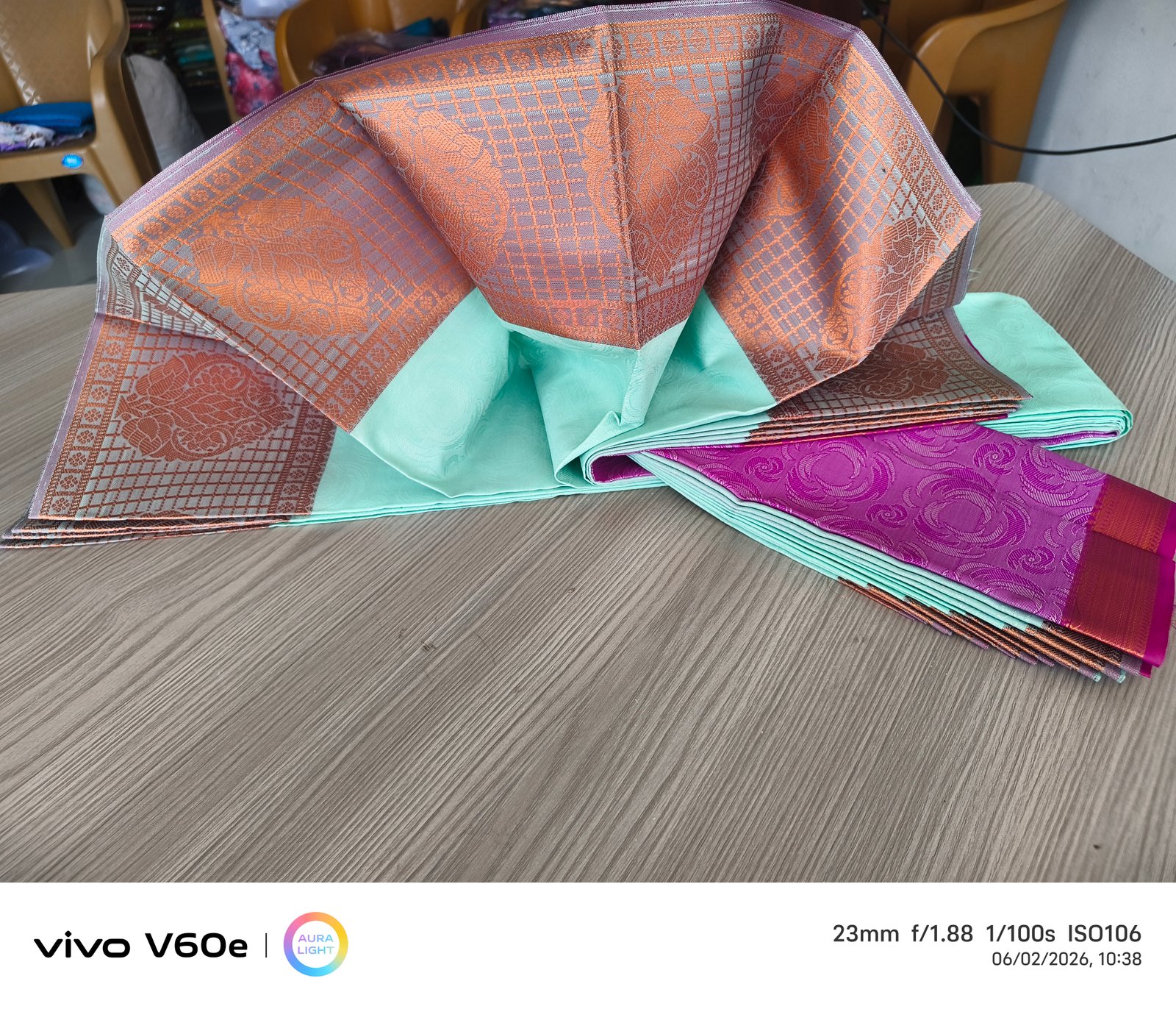 Aqua Mint Jacquard Silk Saree with Copper Zari Border